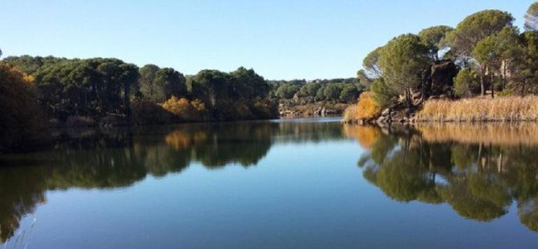 Villa Aljaral, Espectacular,Piscina,Chimenea, Climatizacion, Wifi Córdoba Buitenkant foto